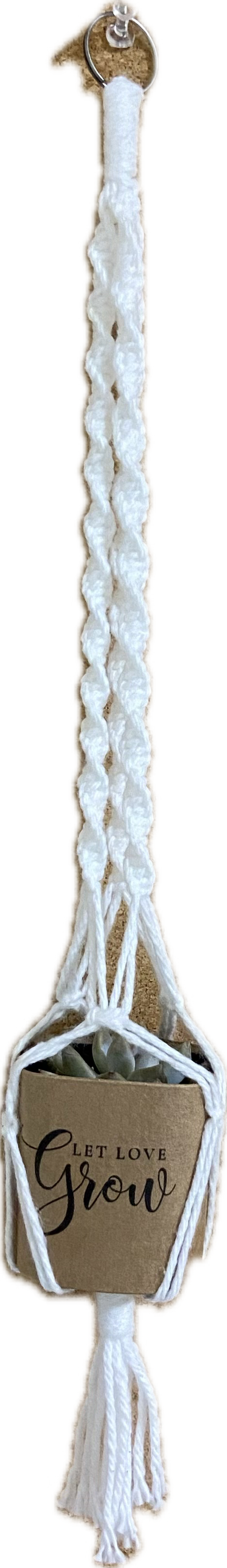 Plant Hanger